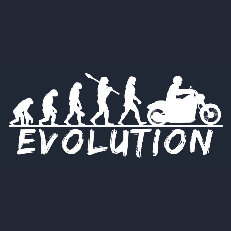 Évolution de l’équitation Découvrez votre parcours