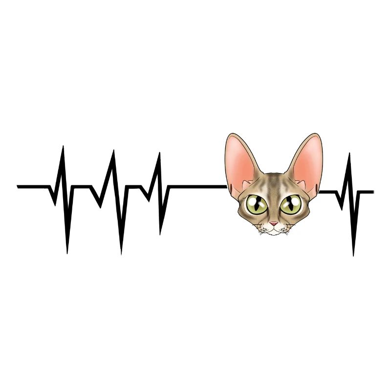 Cat Heartbeat I Devon Rex Cat