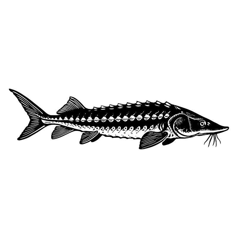 Target Fish Sturgeon - Fish - Angler Gift
