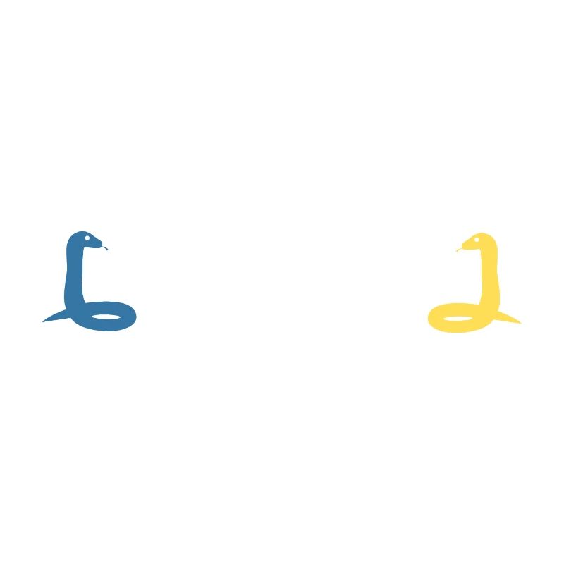 Python Entwickler Programmierer Coder Geschenkidee