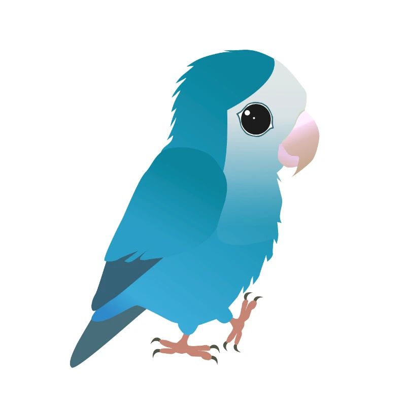 Inséparable bleu mignon