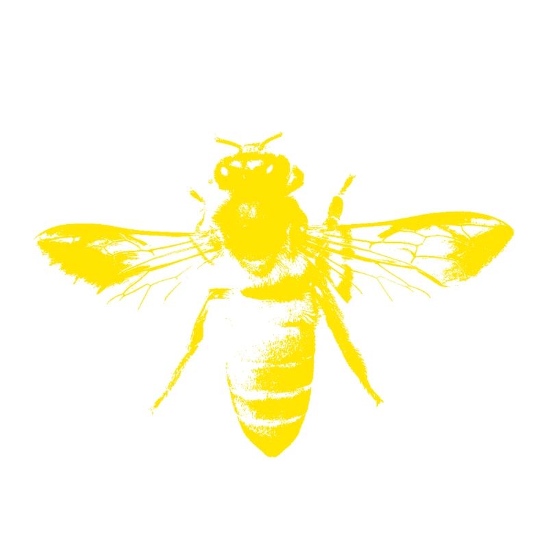 Die Honig Biene