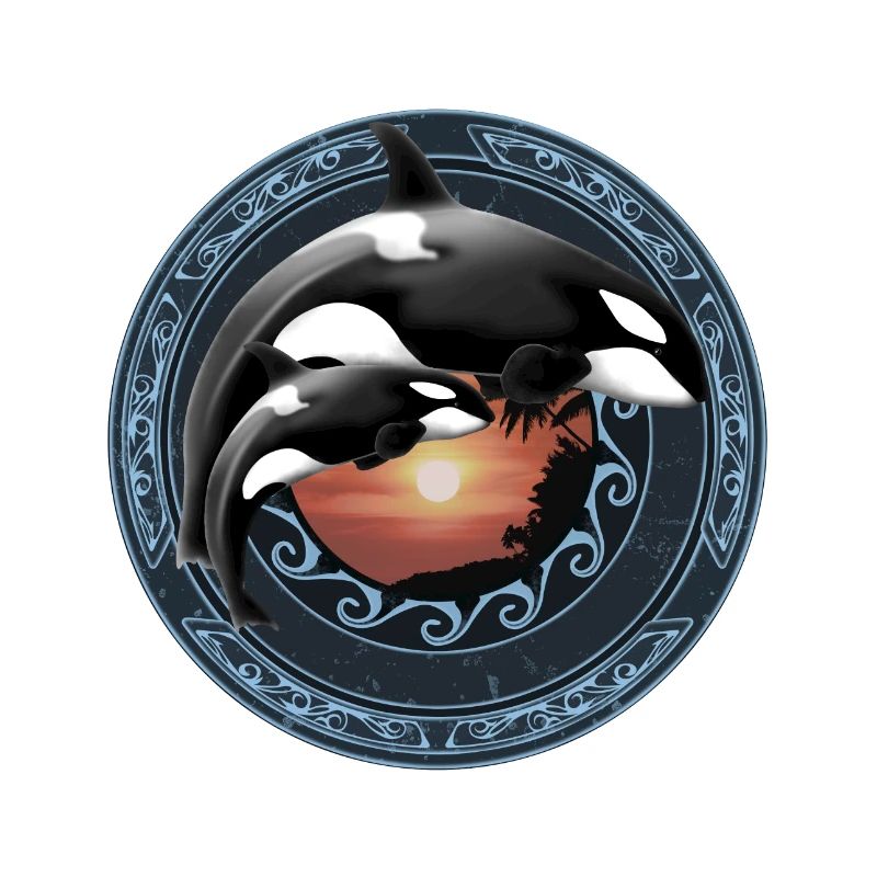 Orca killer whale