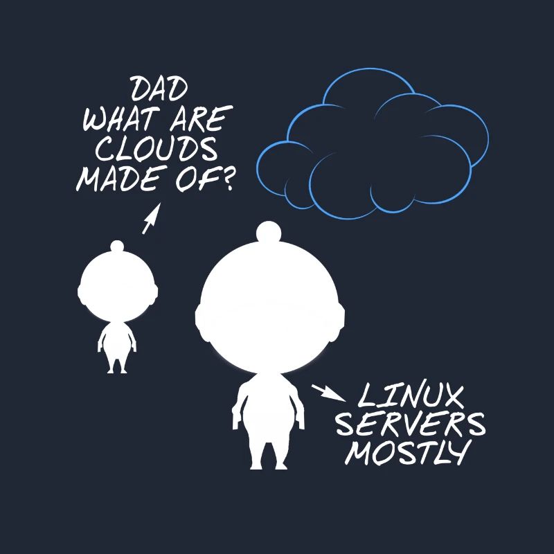 Programmer