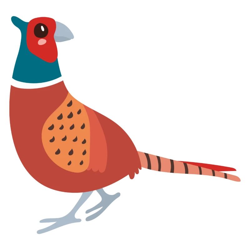 pheasant