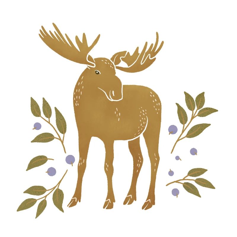Wilde Tiere - Elche
