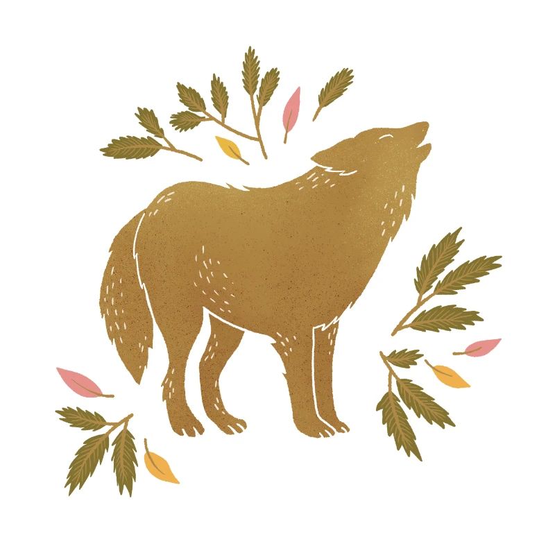 Wild animals - Wolf