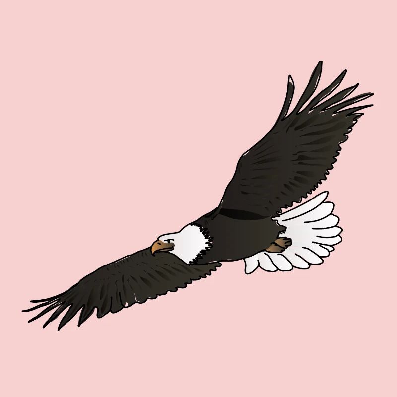 The eagle / The eagle