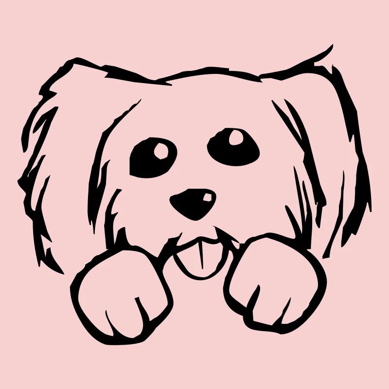 Chien