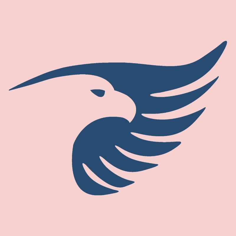 FalconOnboard