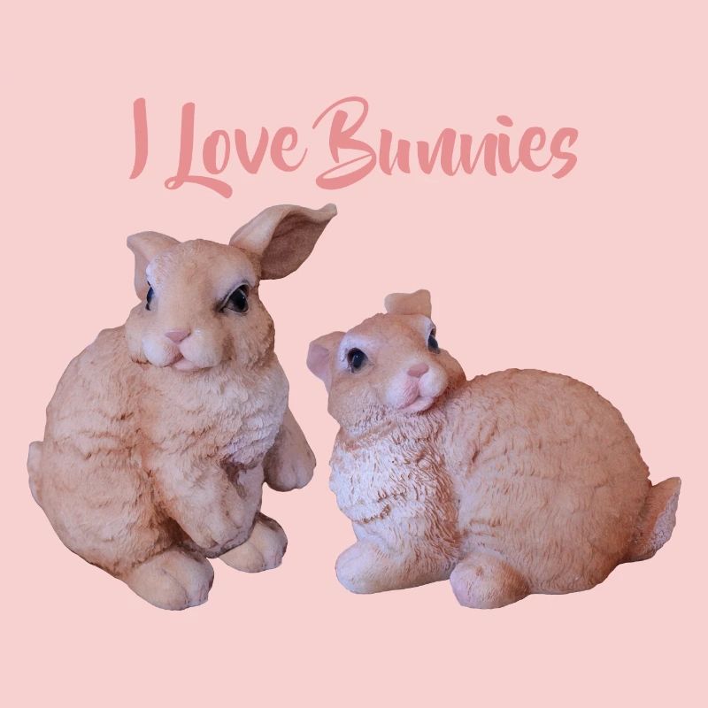 Rabbit Couple, I Love Rabbits