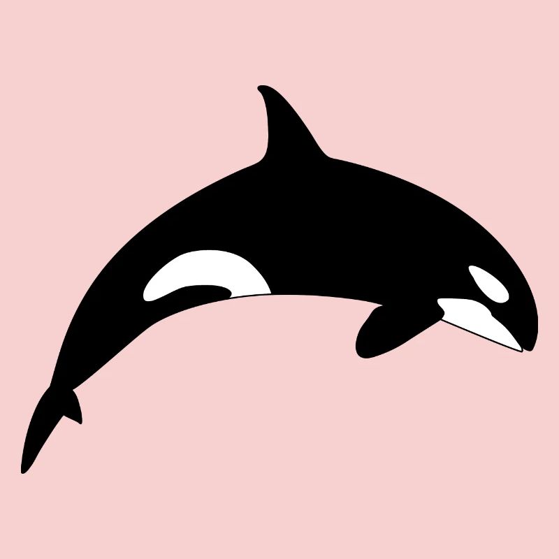 Schwertwal Orca Killerwal