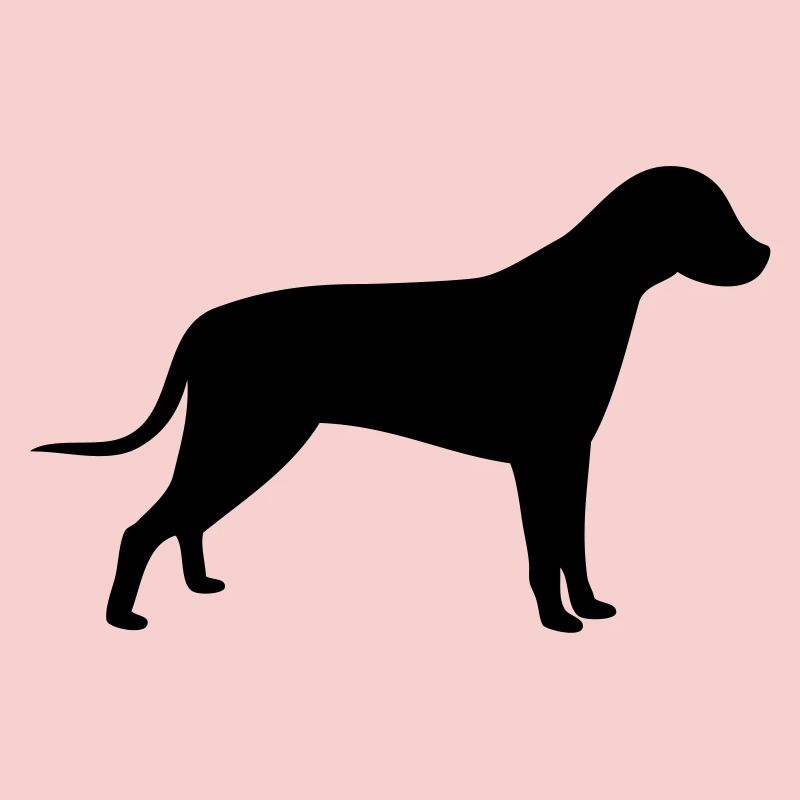 Chien