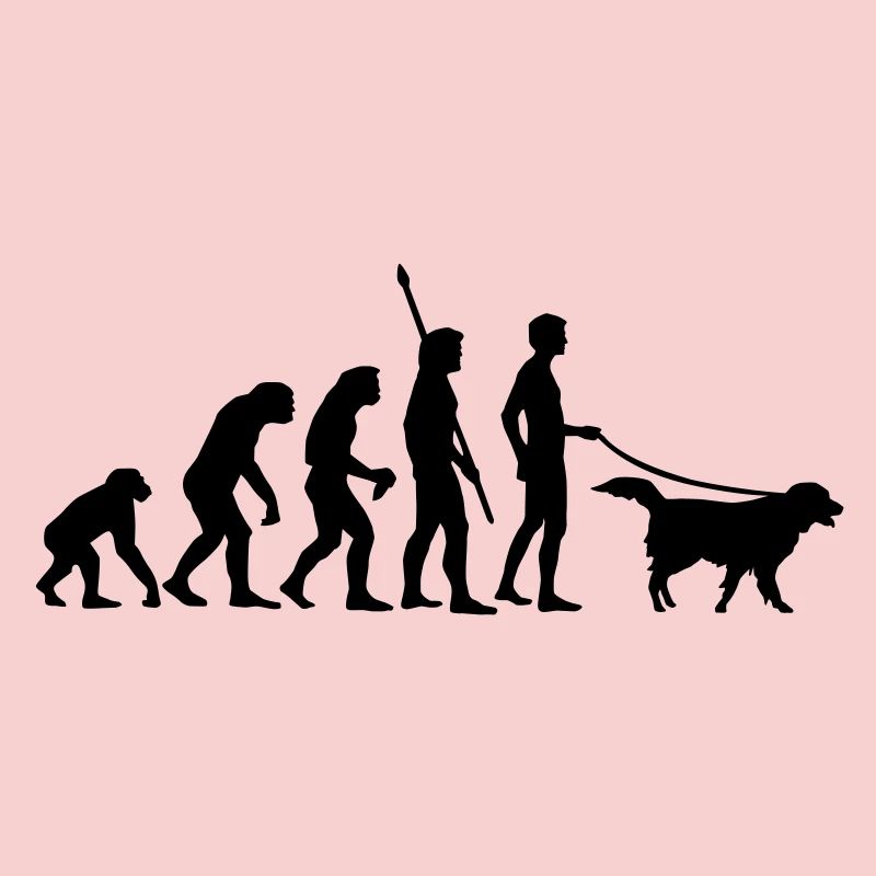 evolution_dog