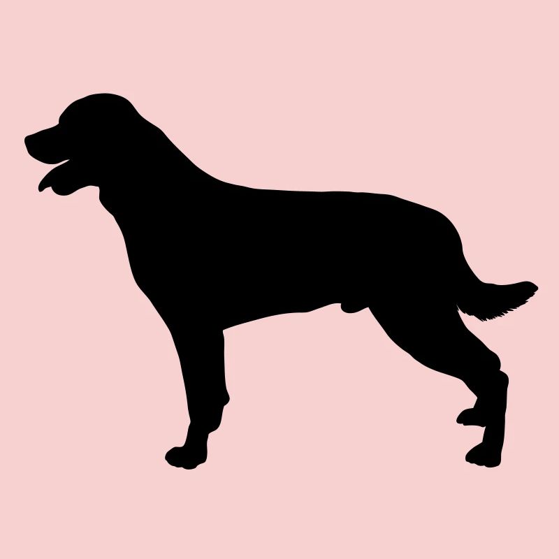 rottweilers
