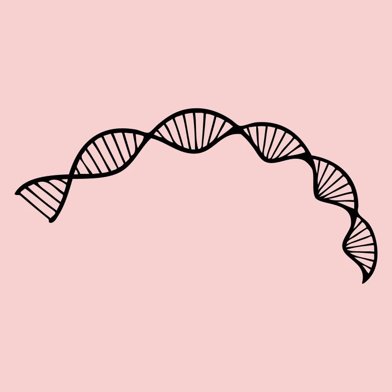 ADN Structure de la double hélice séquence cellule