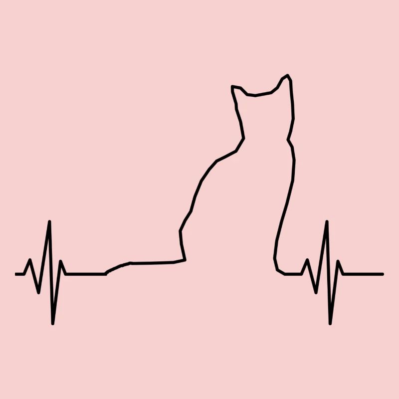 ECG Chat Noir