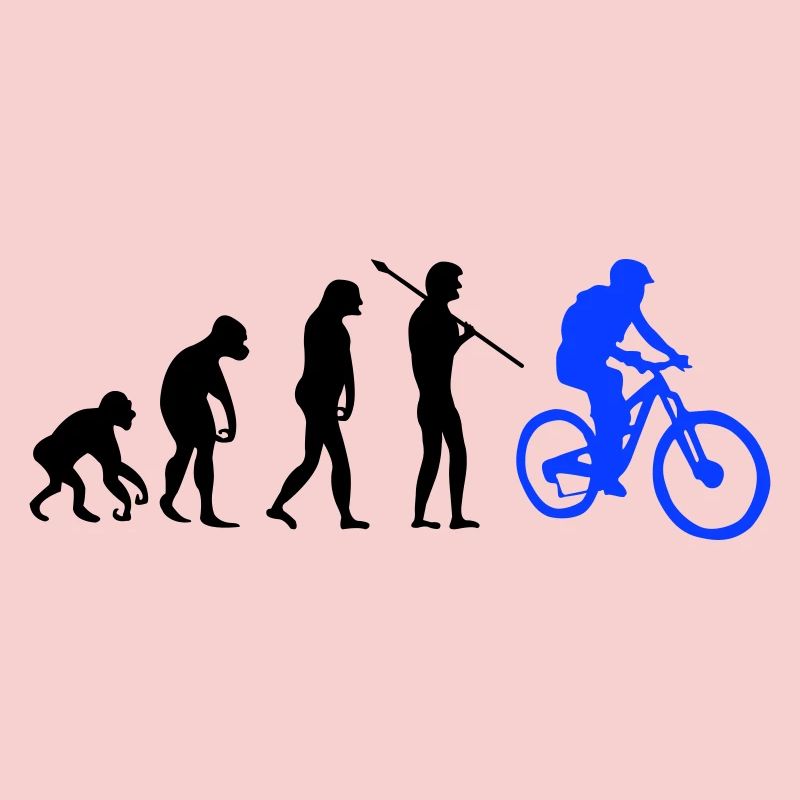 Évolution des motards