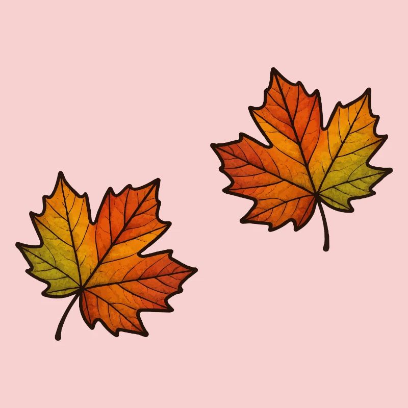 Leaf Autumn Maple Leaf 2