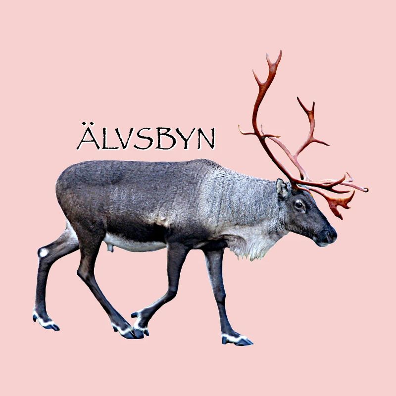 ALVSBYN