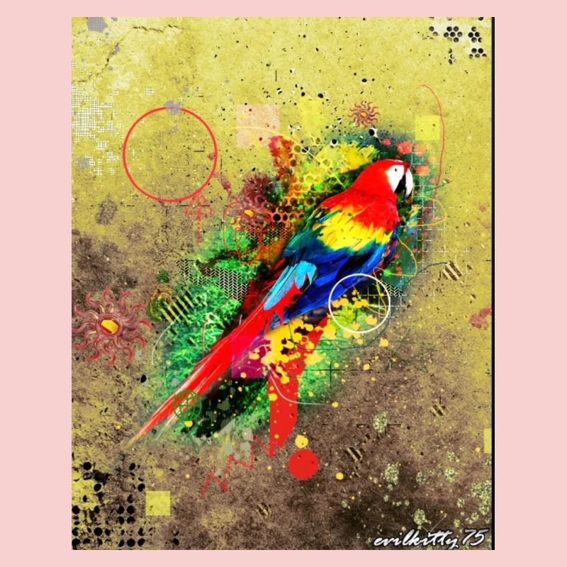 Vogel-Graffiti