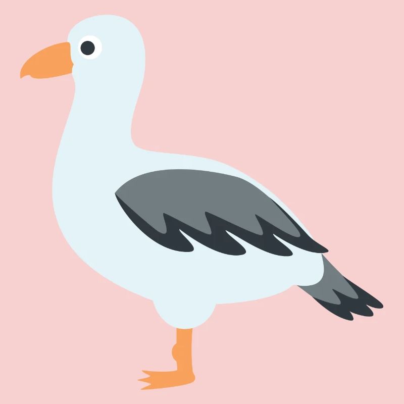 gull