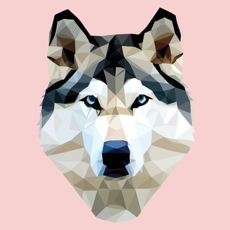 Polygone de chien husky