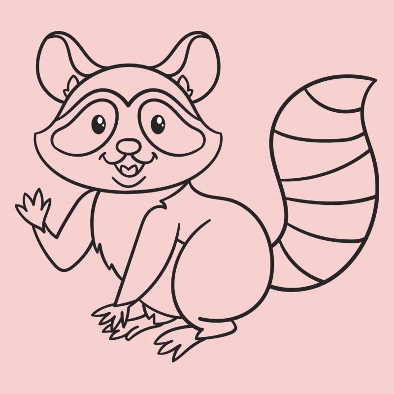Waschbär, Waschbären, Geschenk, Geschenkidee