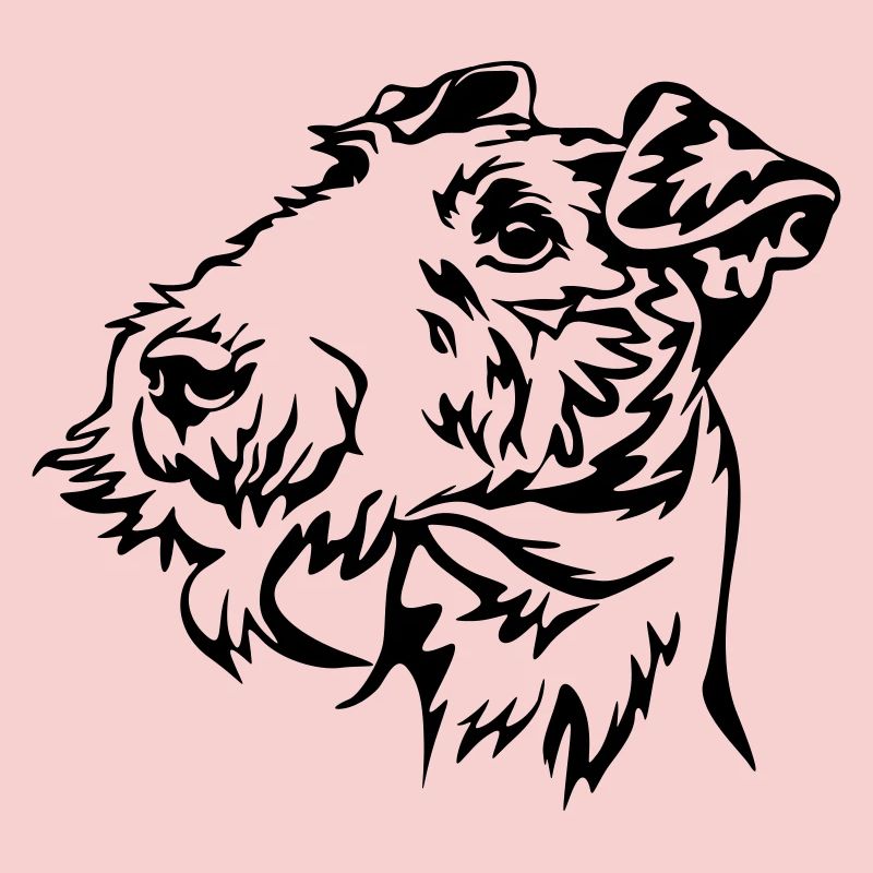 Fox terrier head