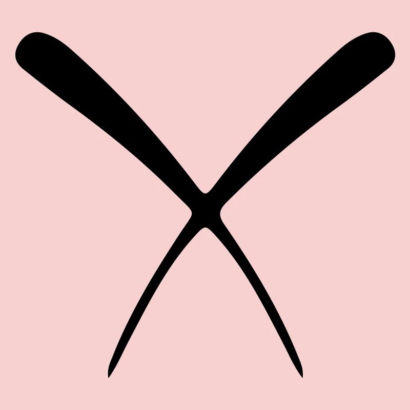 Essstäbchen Baguettes Sushi