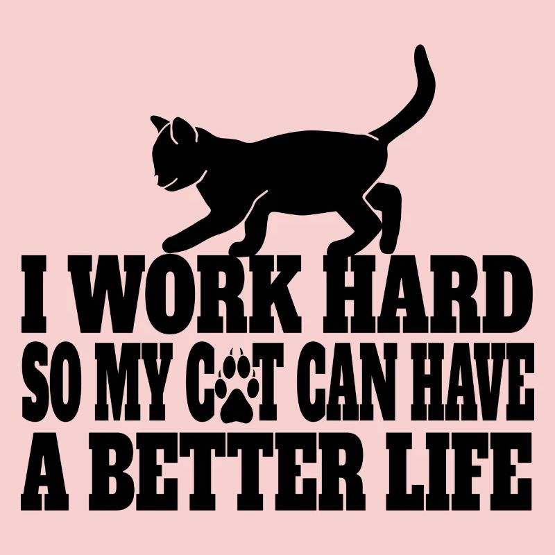 Chat domestique Chat Chat Chat Cheveux Chaton Chat Chat