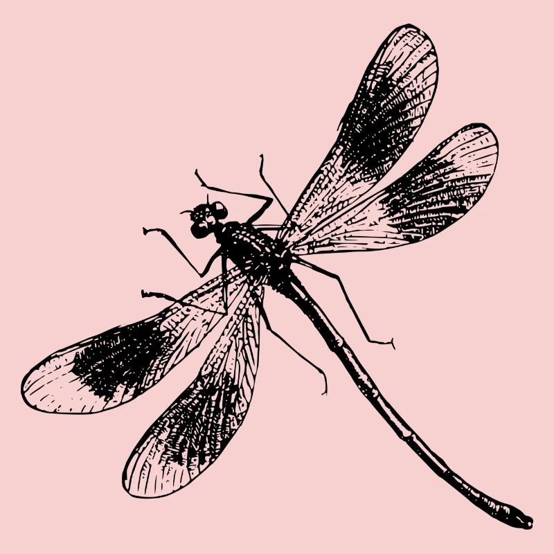 libe 31
