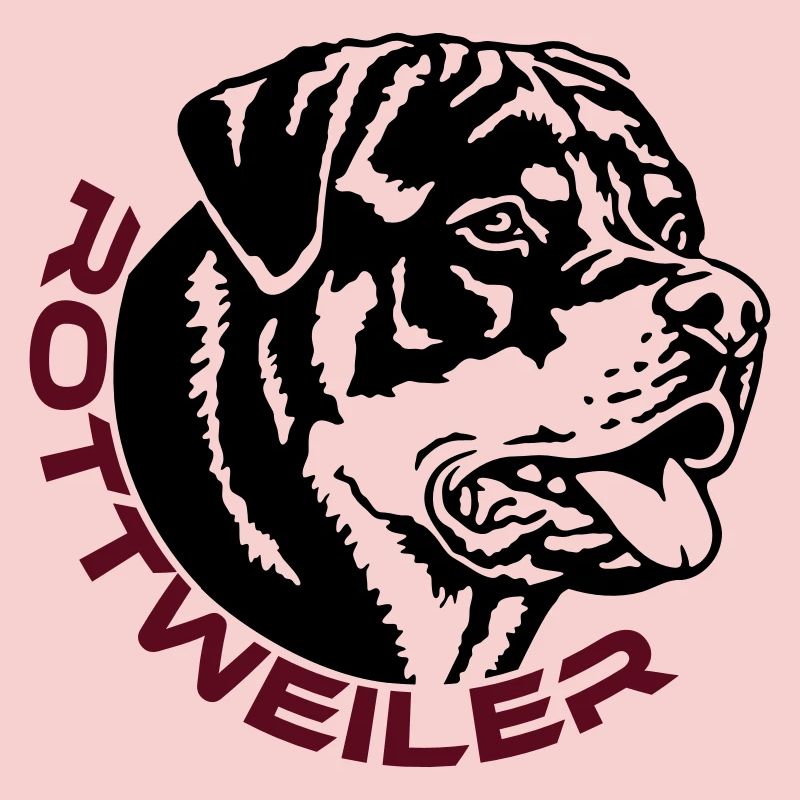 570 Rottweiler chien