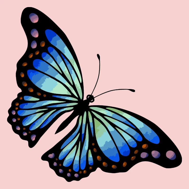 Schmetterling
