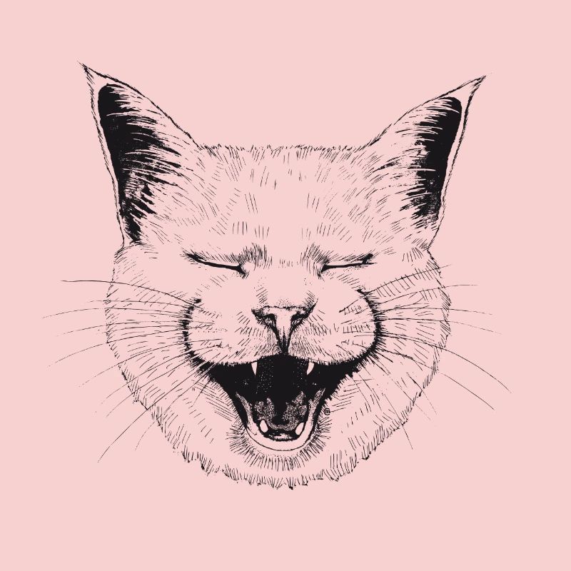 Lachende Katze