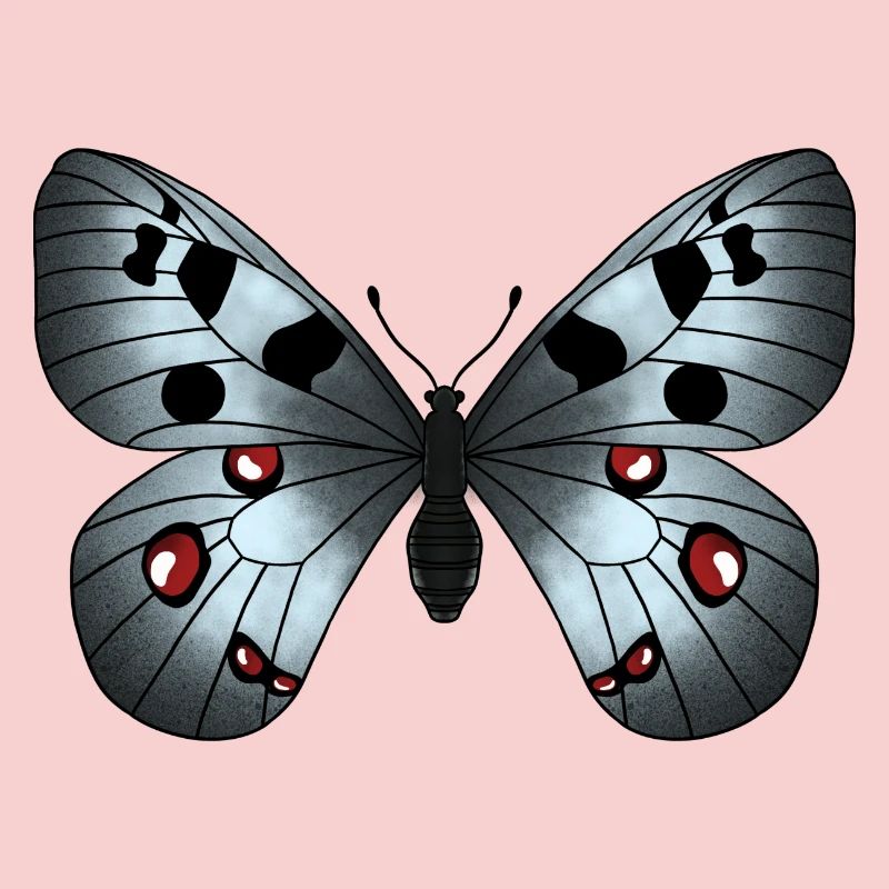 Gris papillon