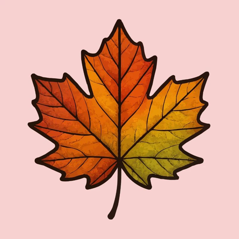 Leaf Autumn Maple Leaf