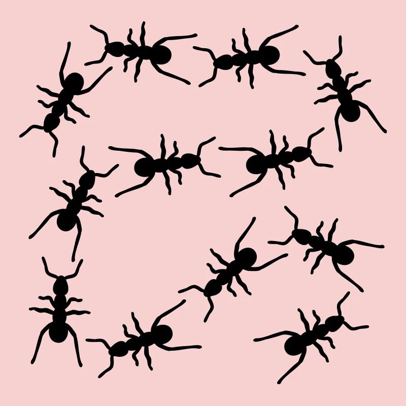 Fourmis