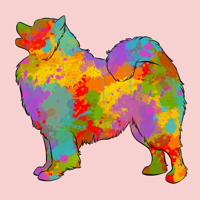 Samojeden Multicolor