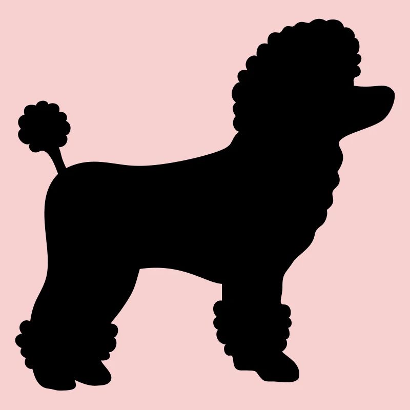 cadeau caniche
