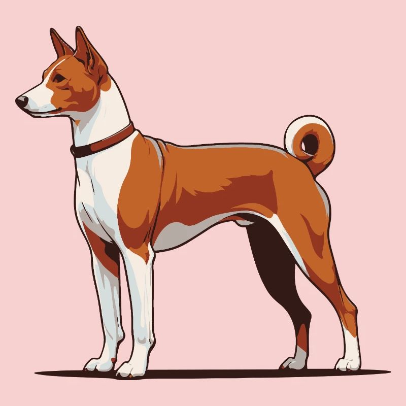 Basenji