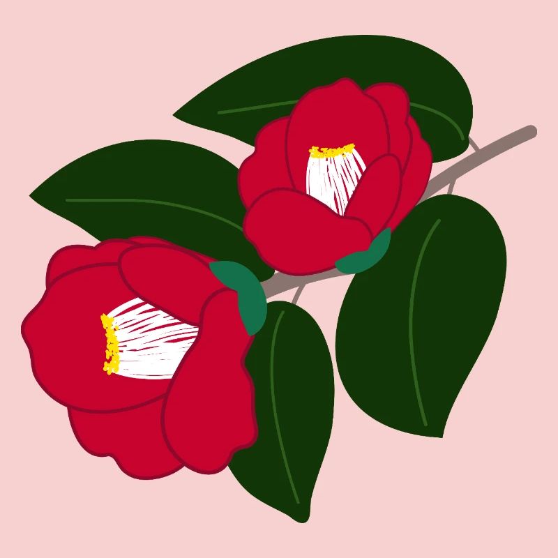 zwei rote Kamelienblüten
