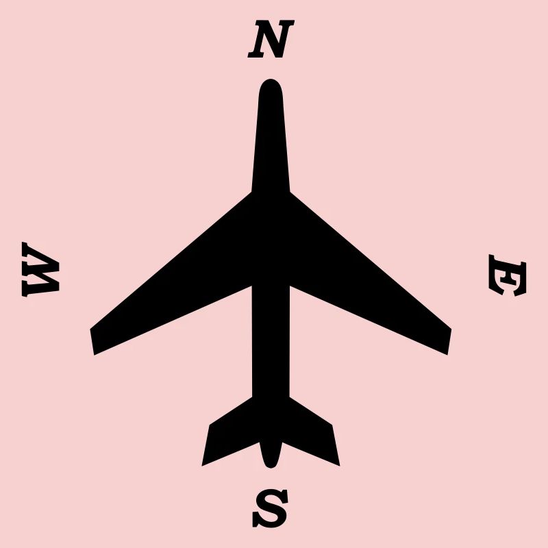 boussole _aviation_b1