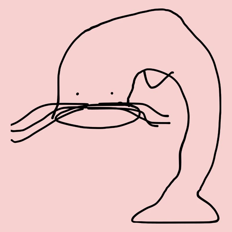 Catfish Fish