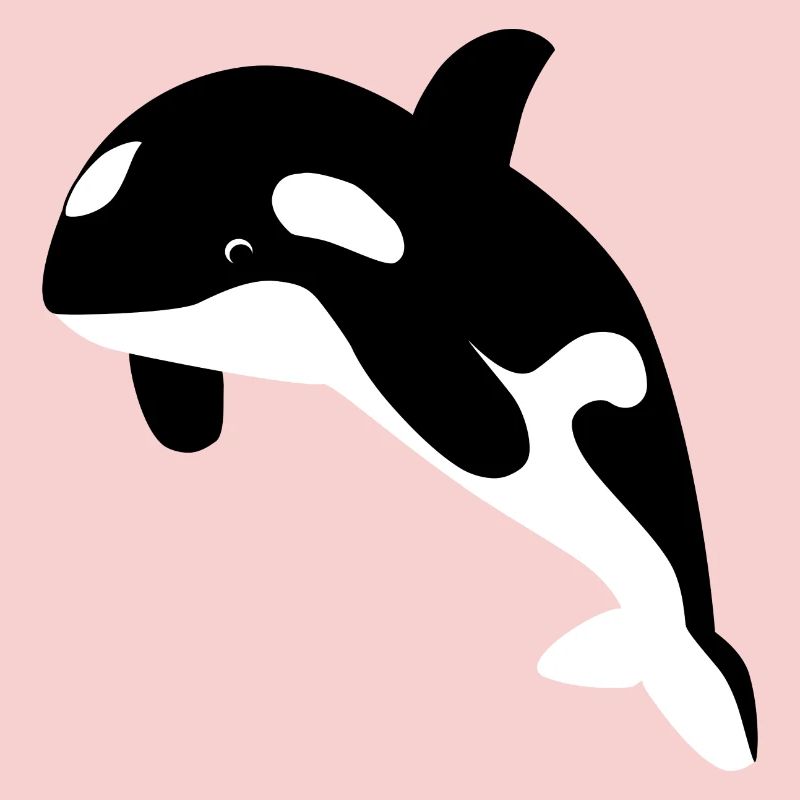Orca / Killer Wal