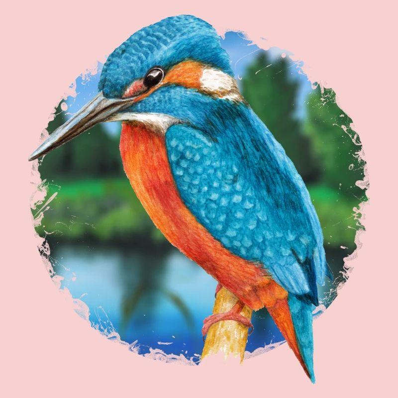 Eisvogel
