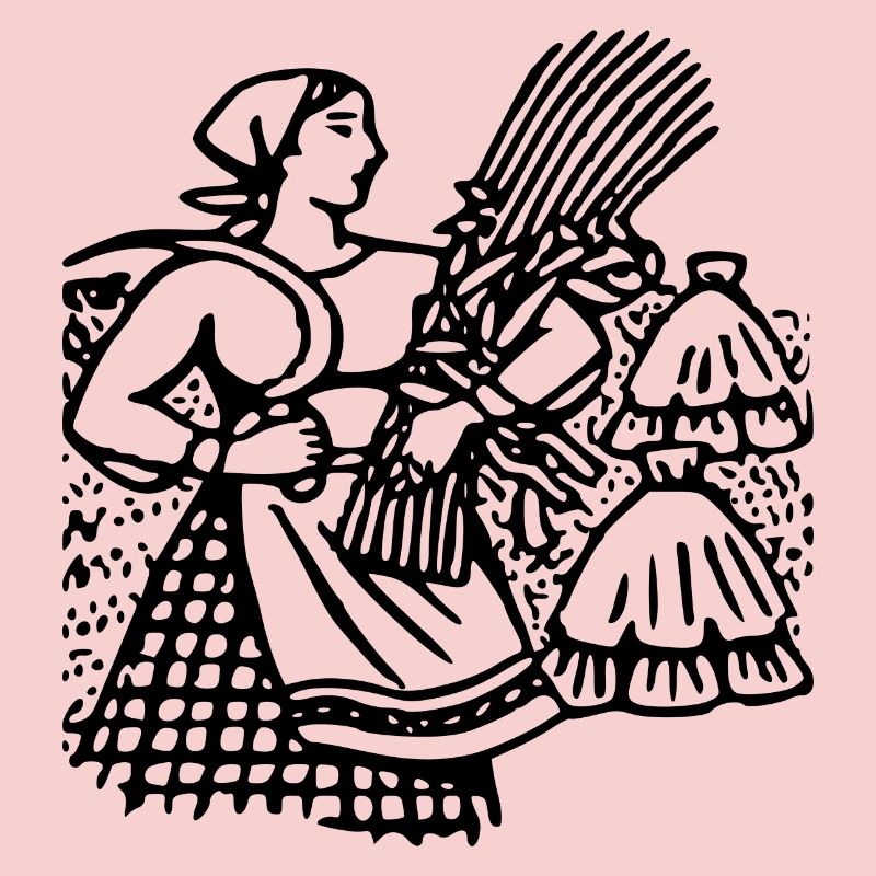 corn corn maize cereal veggie vegetables vegetables