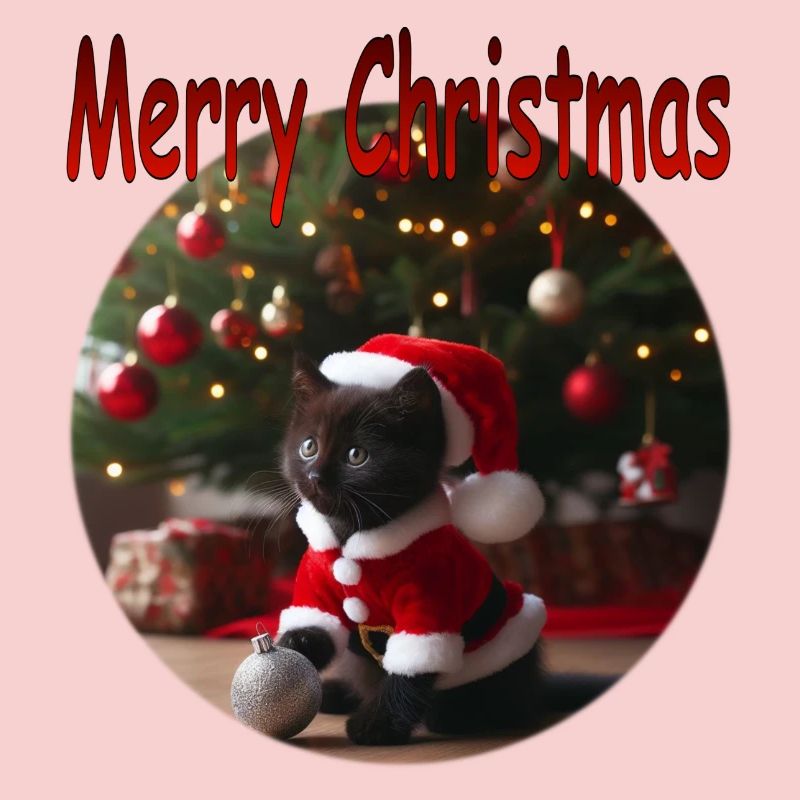 Joyeux Noël Chat 01