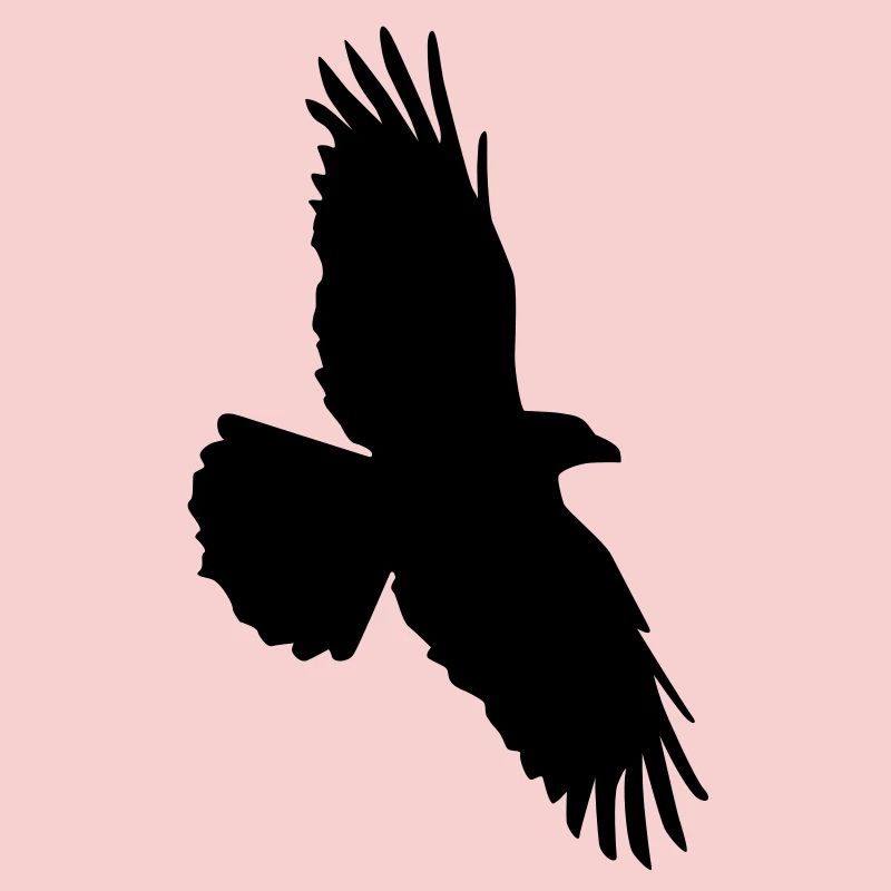 Rabenflug