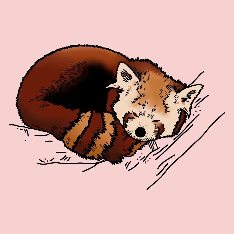Petit panda